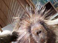 20170629 145636 Baumstachler