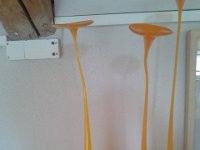 Glasblumen recken den Hals zur Sonne